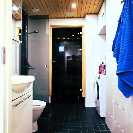 Siljotie & Sauna Apartment *