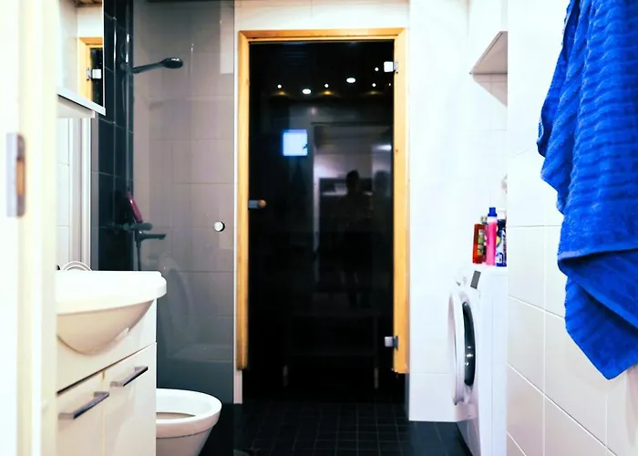 Siljotie & Sauna Apartment *